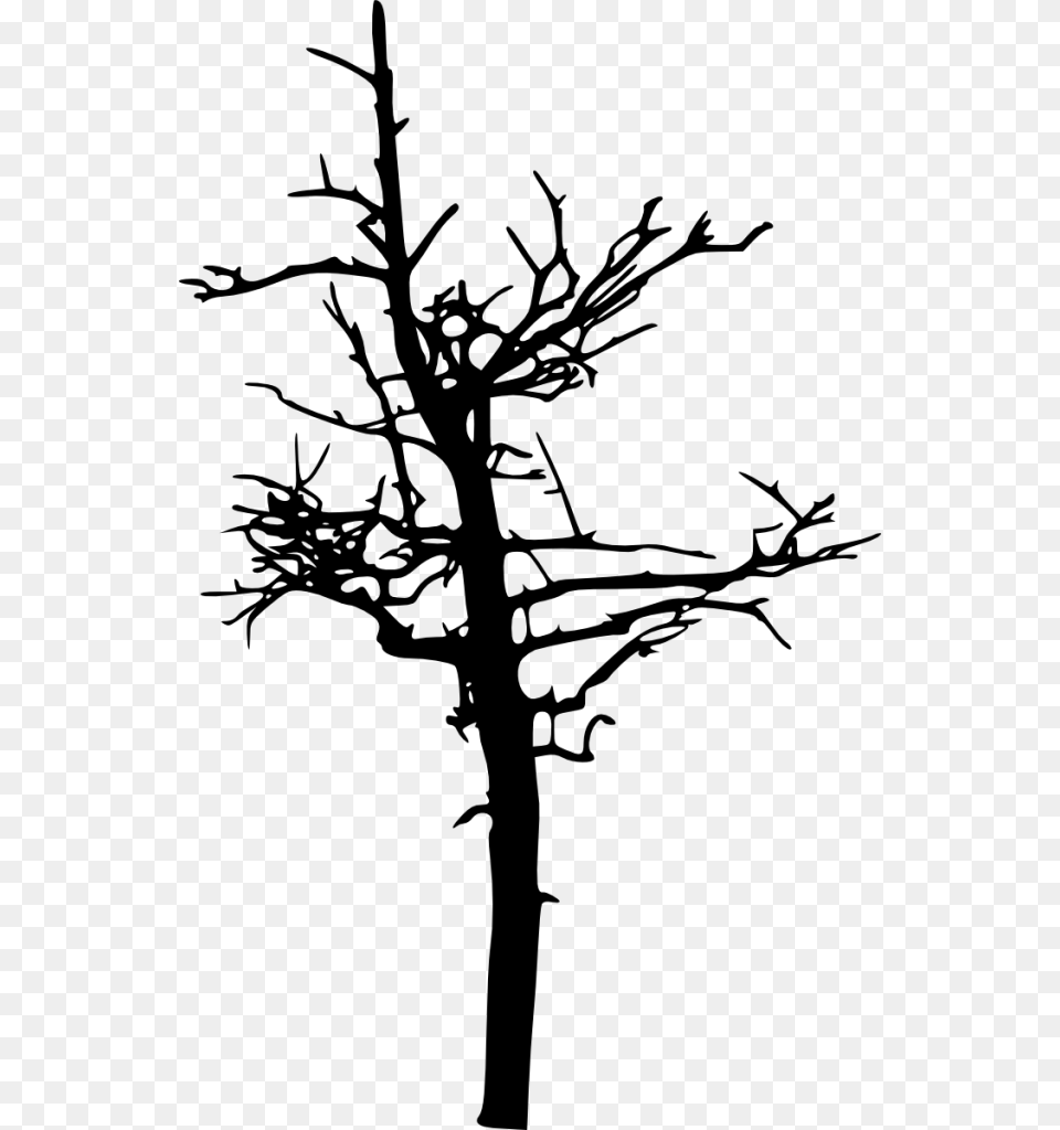 Scary Tree Silhouette, Gray Png