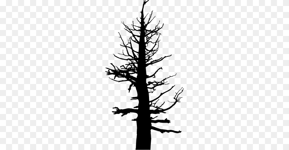 Scary Tree Silhouette Old Dead Pine Tree, Gray Free Png