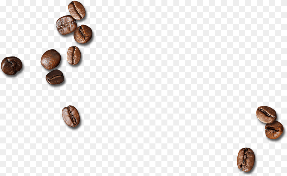 Scattered Coffee Beans Download Coffee Beans Background, Beverage, Animal, Insect, Invertebrate Free Transparent Png