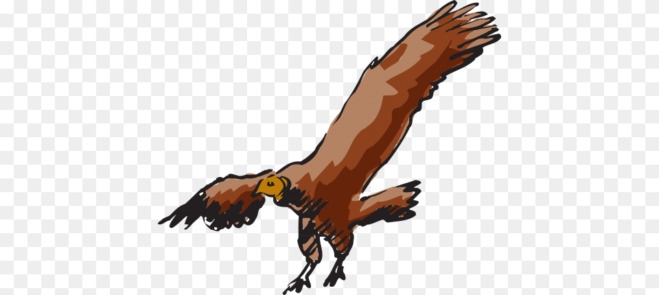 Scavanger Buzzard Bird Carnivore Vulture, Animal, Person, Flying Free Png Download