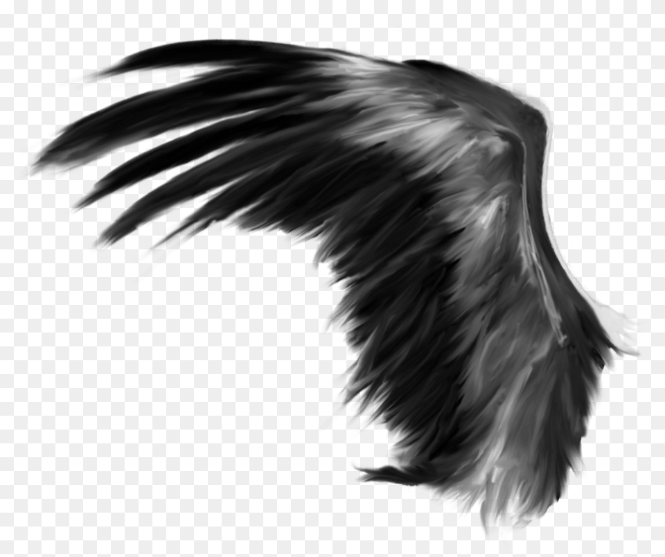 Scblackandwhite Sticker Devil Photo Editing Background, Animal, Bird, Flying, Angel Free Png