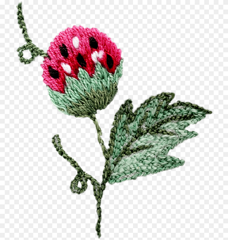 Scembroidery Strawberry Green Vine Fruit Cross Stitch, Leaf, Plant, Dahlia, Flower Png