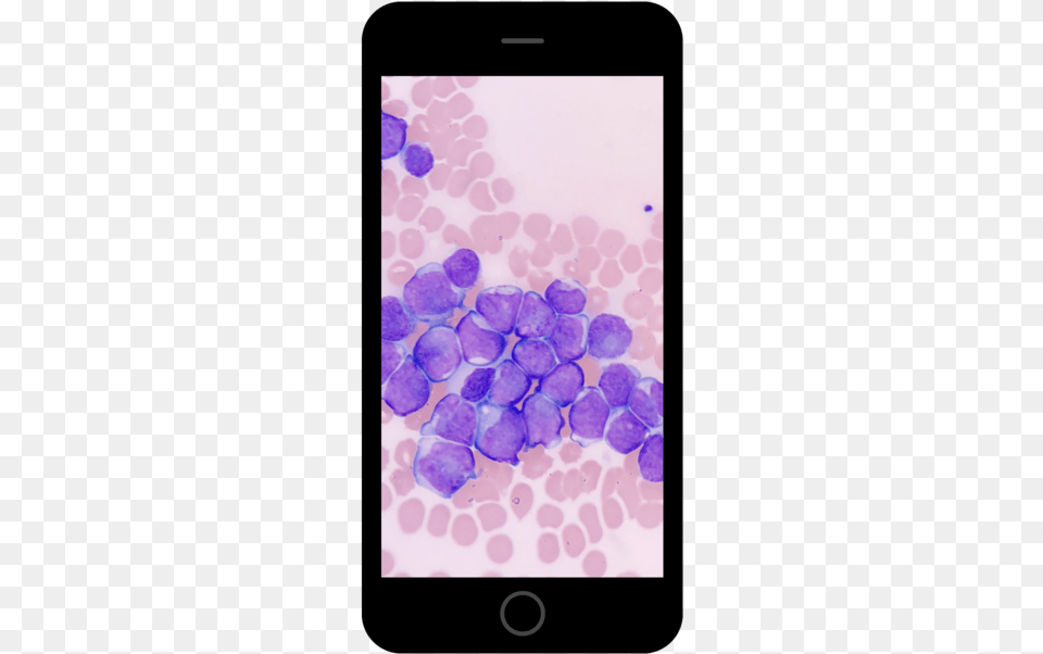 Scenery Iphone 6 6s Plus, Purple Png
