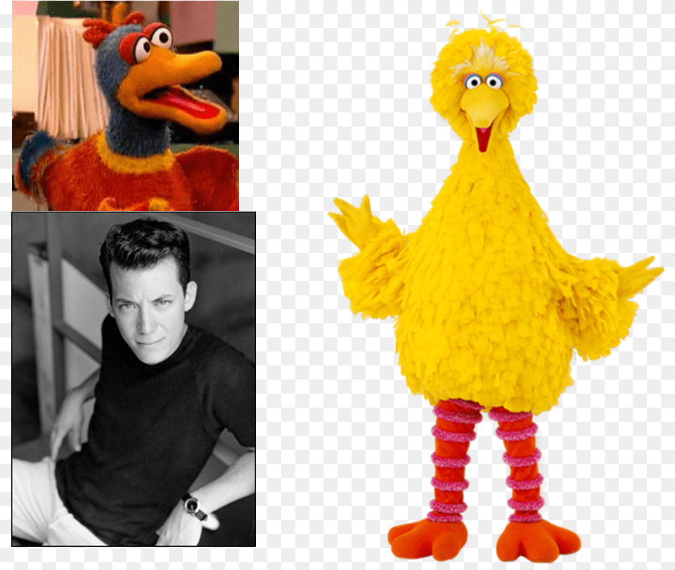 Scenes Sesame Street Episode Big Bird With A Gun, Adult, Person, Man, Male Png Image