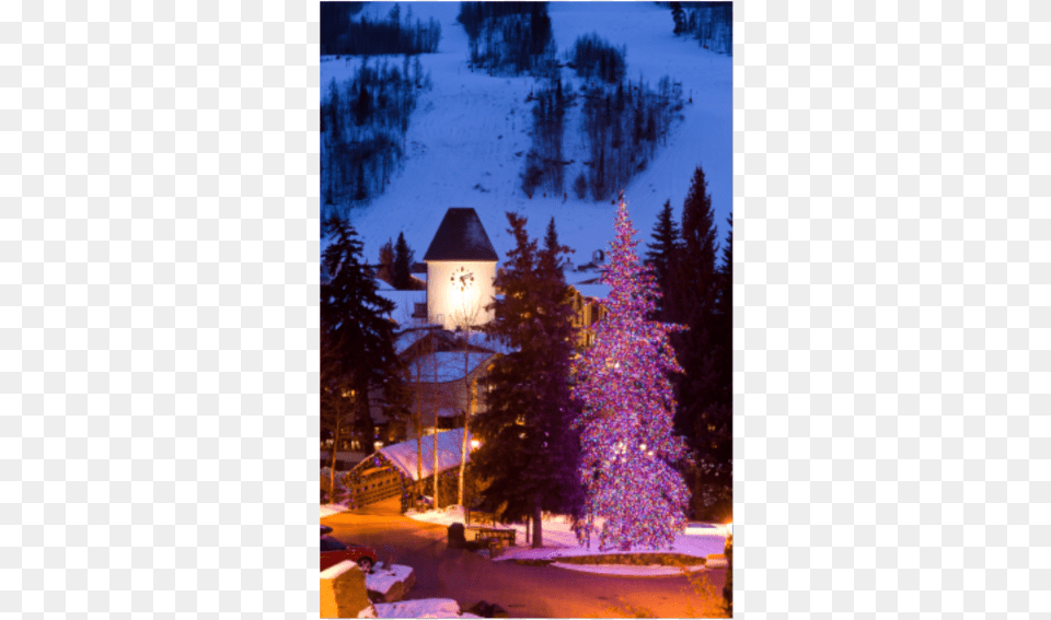 Scenic View At Dusk With Christmas Holiday Lights Skiing, Tree, Plant, Fir, Festival Png Image
