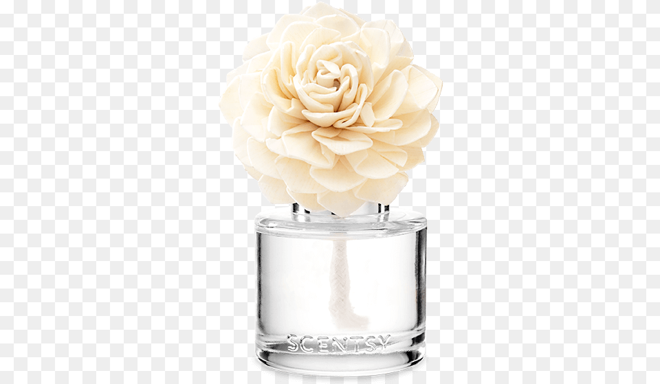 Scentsy Fragrance Flower, Bottle, Plant, Rose, Jar Free Transparent Png