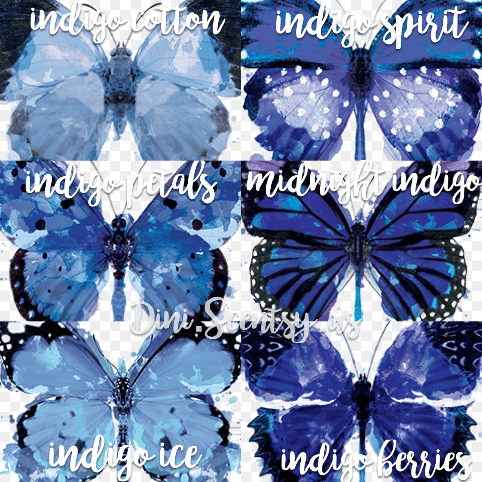 Scentsy Watercolor Exploreindigo Indigo Ice Scentsy Bar Wickless Candle Tart Warmer, Animal, Butterfly, Insect, Invertebrate Free Png Download