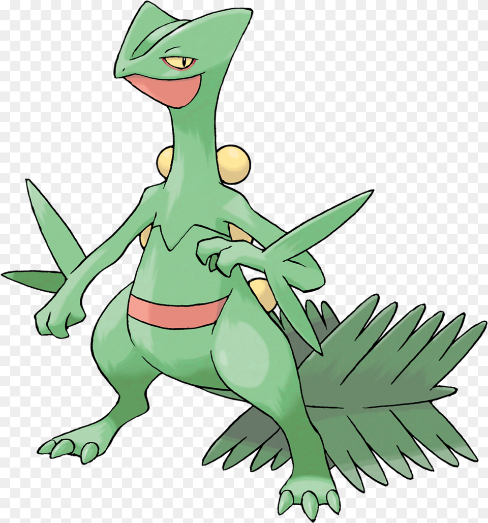 Sceptile Sceptile Pokemon, Baby, Person, Animal Free Png