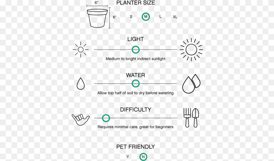 Schefflera Arboricola Is A Flowering Plant In The Family Diagram Free Png