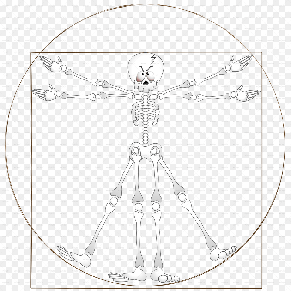 Scheletro Vitruviano Sketch, Skeleton Free Png