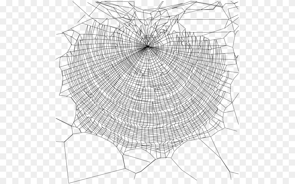 Schema Of Web Golden Silk Orb Weaver, Gray Free Png