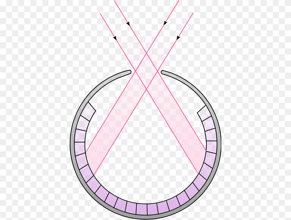 Schematic Cross Section Of A Pinhole Eye Nautilus Pinhole Camera Eye, Symbol Png