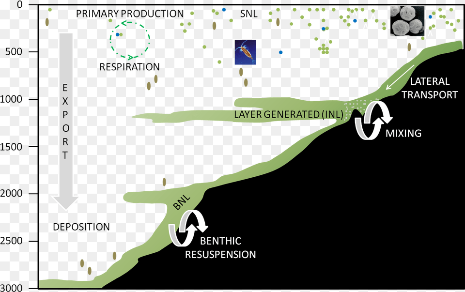 Schematic Of General Nepheloid Layer Formation Nepheloid Layer, Nature, Outdoors, Chart, Plot Free Transparent Png