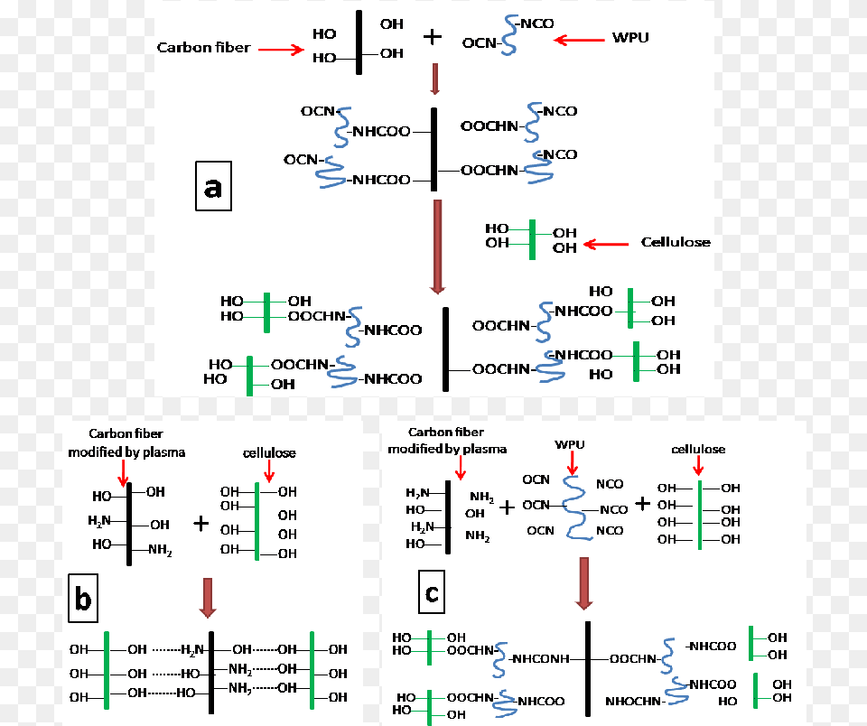 Schematic Of Interactions In Cf Based Paper, Text Free Transparent Png