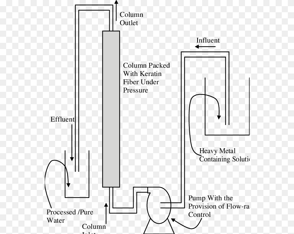 Schematic Of The Continuous Column For Heavy Metals39 Diagram, Chart, Plot Png
