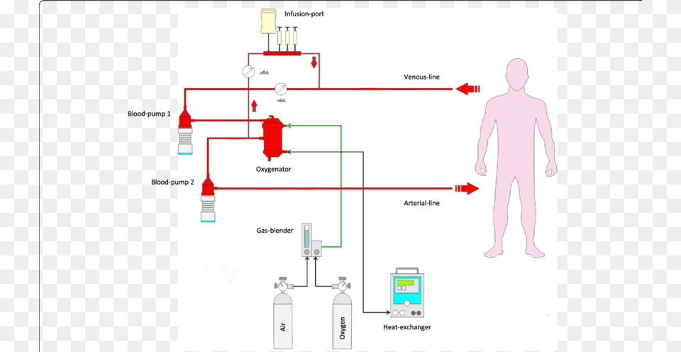 Schematic Outline Of The Controlled Integrated Resuscitation, Chart, Plot, Adult, Male Free Png Download