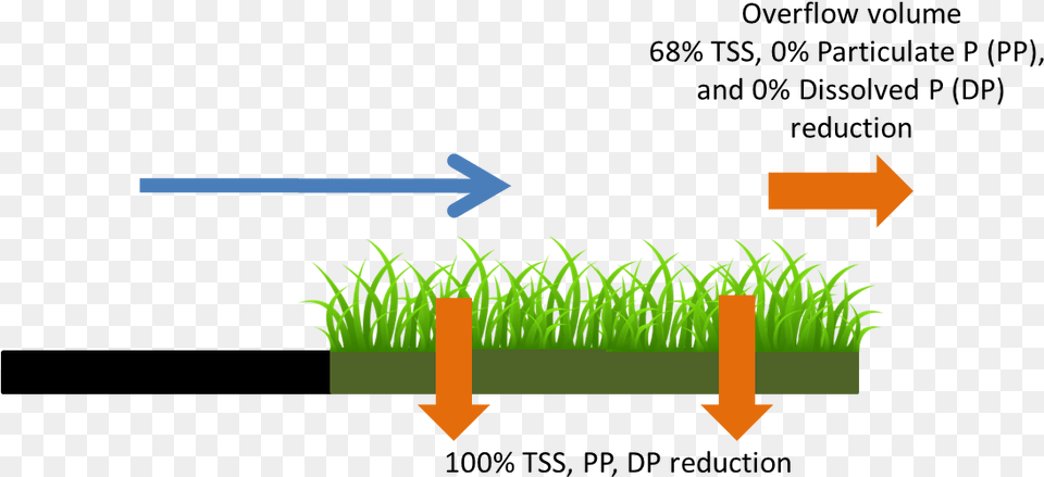 Schematic Showing Pollutant Load Reduction For Infiltrated Grass, Vase, Pottery, Potted Plant, Planter Png Image