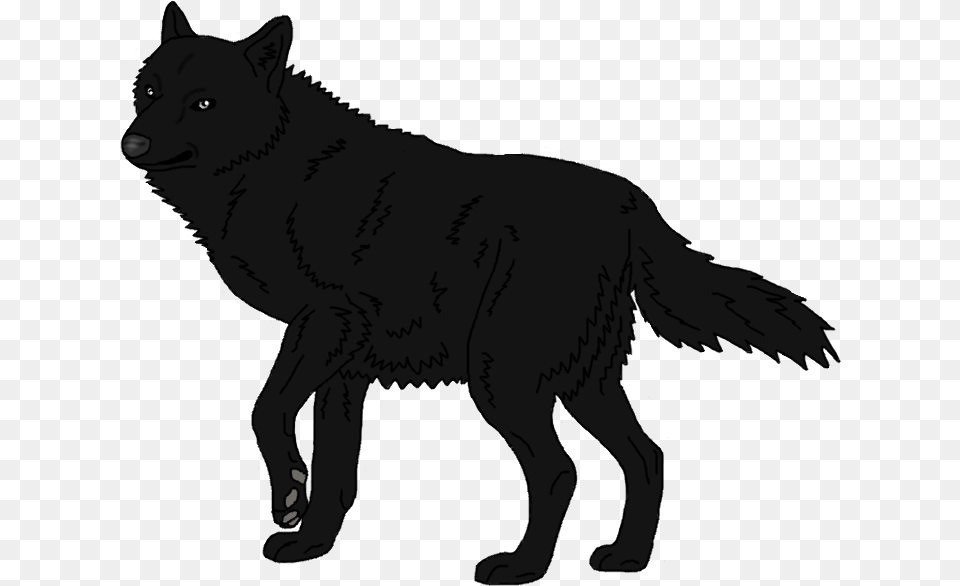 Schipperke Arctic Wolf Mexican Wolf Black Wolf Arctic Wolf Shadow Transparent, Animal, Mammal, Canine, Dog Png Image