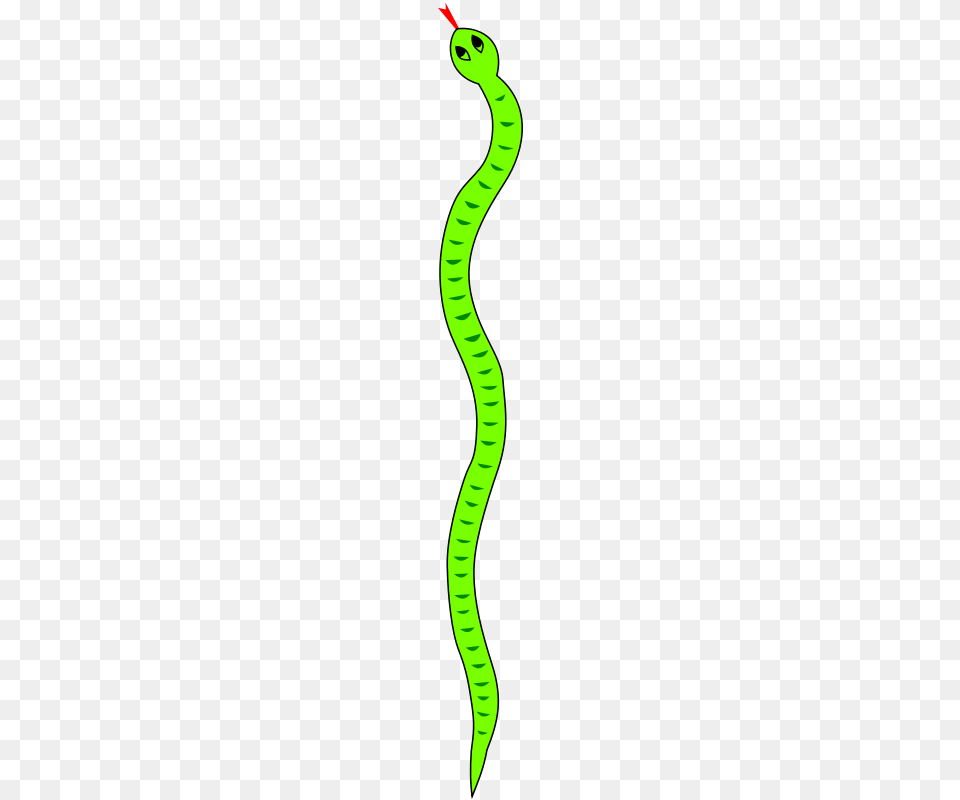 Schlange, Green, Animal, Reptile, Snake Free Png Download