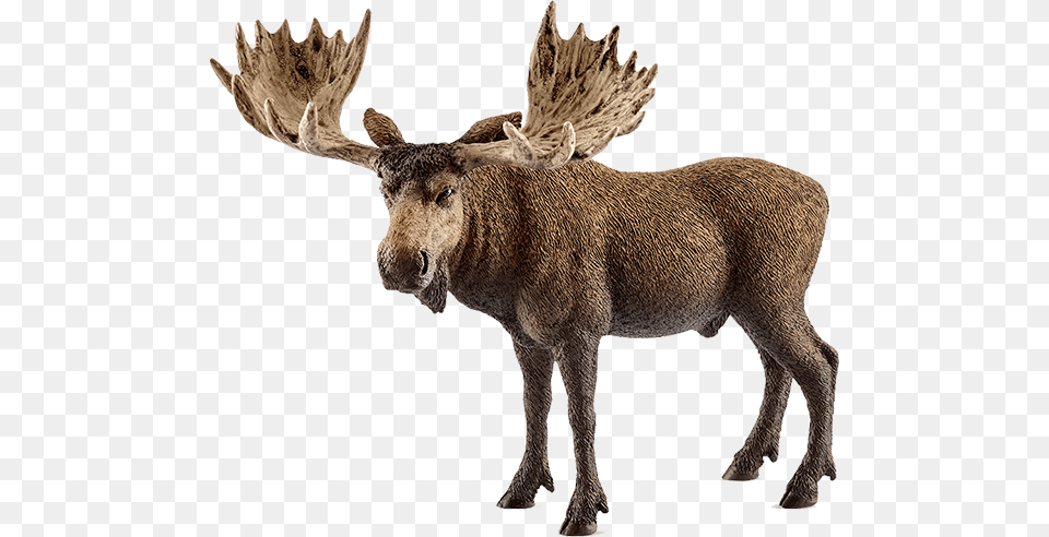 Schleich Moose Bull Large Schleich Moose, Animal, Mammal, Wildlife, Antelope Free Transparent Png