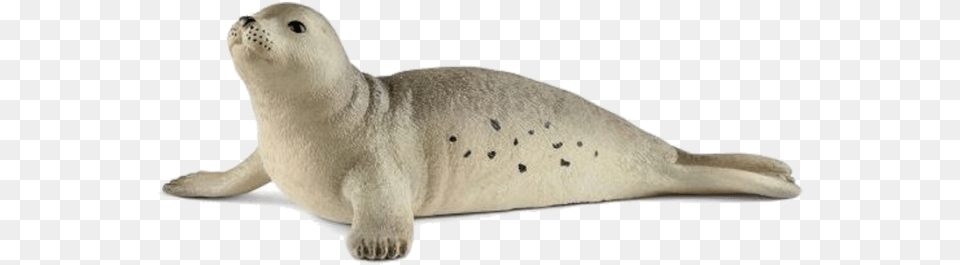 Schleich, Animal, Mammal, Sea Life, Seal Free Png Download