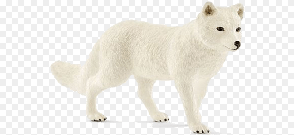 Schleich Arctic Fox, Animal, Canine, Dog, Mammal Free Png