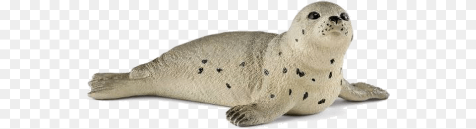 Schleich Grey Seal, Animal, Mammal, Sea Life, Sea Lion Png