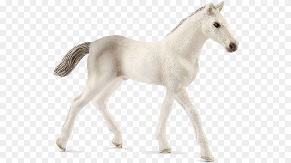 Schleich Horse Foal, Animal, Mammal, Colt Horse Free Png Download