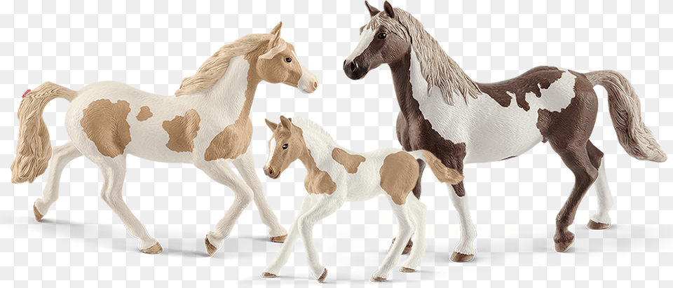 Schleich Paint Horses, Animal, Colt Horse, Horse, Mammal Free Png