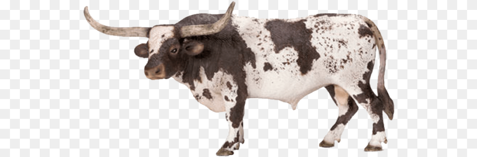 Schleich Texas Longhorn Bull Schleich Cows And Bulls, Animal, Mammal, Cattle, Livestock Free Transparent Png