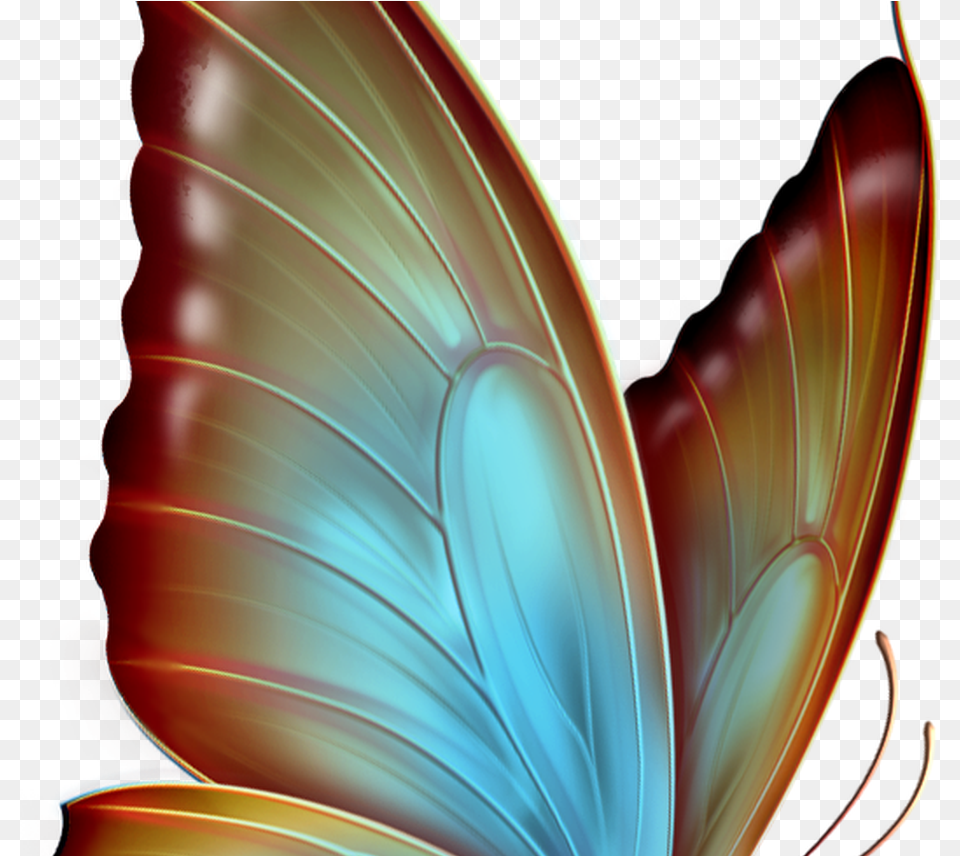 Schmetterling Butterflies In Memory Of Sissy Transparent Background Butterfly, Leaf, Pattern, Plant, Accessories Png