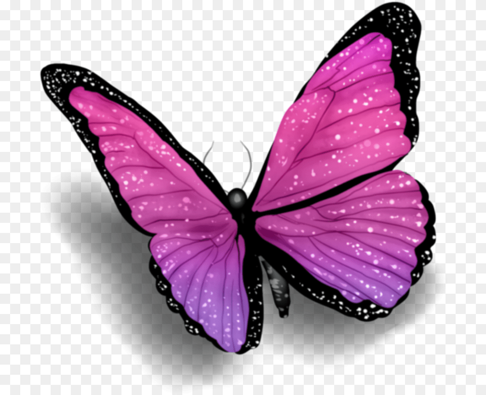 Schmetterling Butterfly Rosa Purple Lila Pink Butterfly With Shadow, Flower, Petal, Plant Free Png