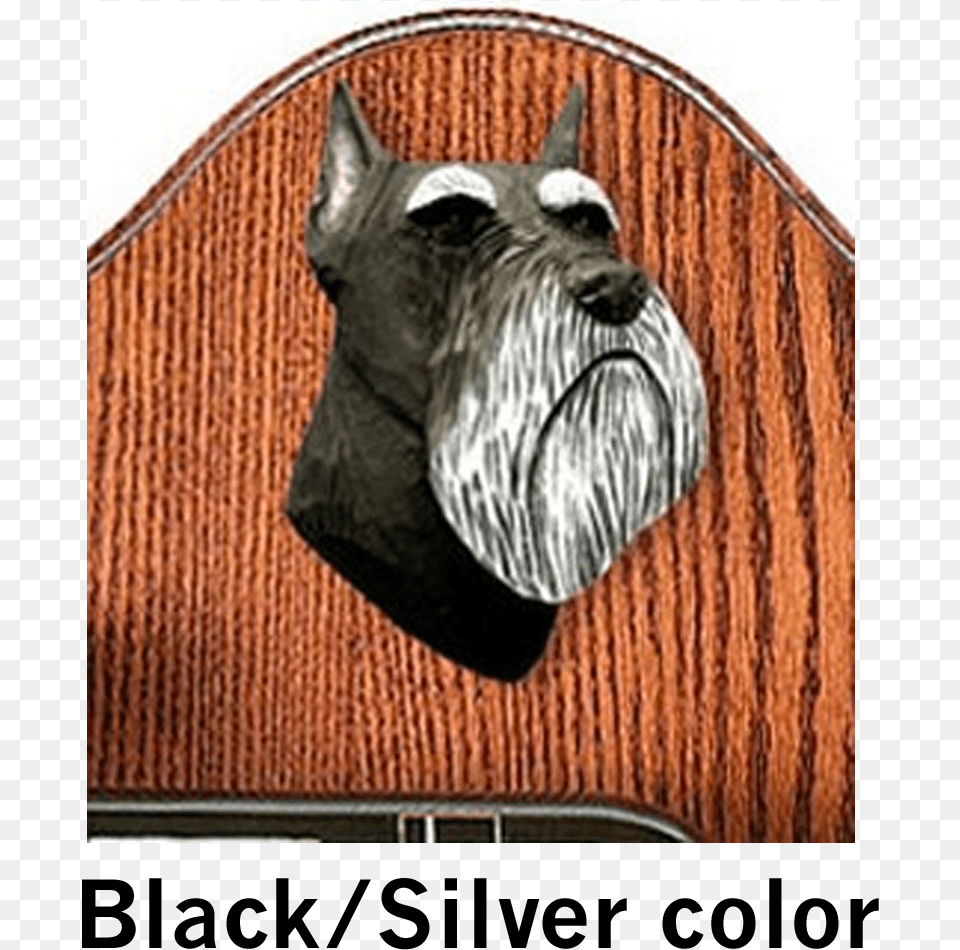 Schnauzer Miniature Dog Black And Silver Color Head Cesky Terrier, Home Decor, Cushion, Pet, Mammal Free Transparent Png