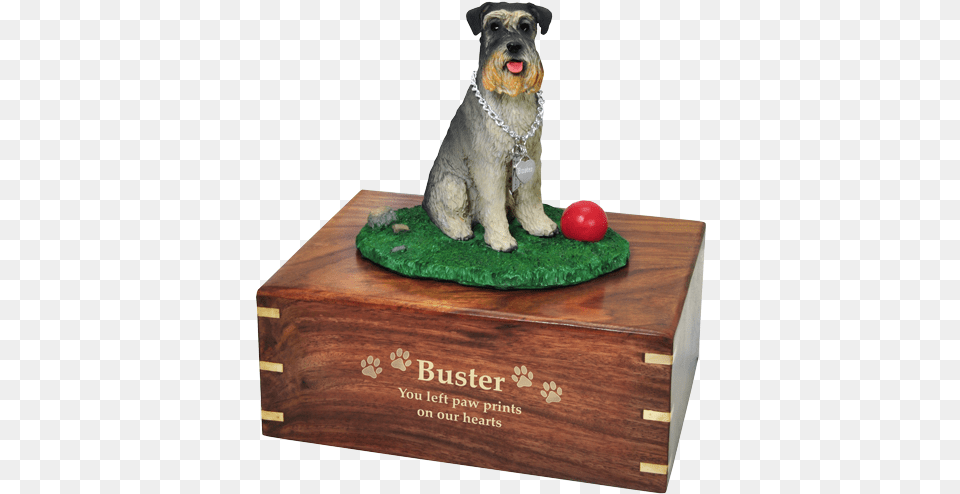 Schnauzer On Grass With Ball Dog Urn Engraved With Memorial Urns, Animal, Canine, Mammal, Pet Free Png Download
