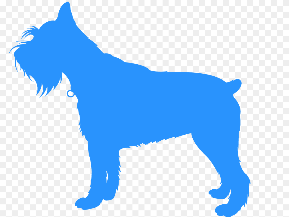 Schnauzer Silhouette, Animal, Canine, Mammal, Pet Free Transparent Png