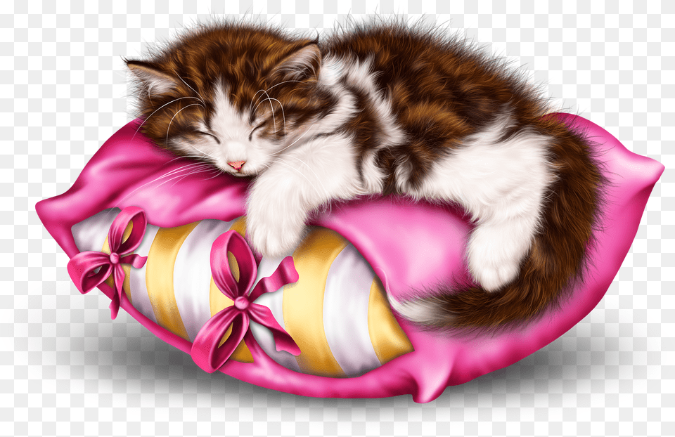 Schnen Abend Angenehme Nachtruhe, Animal, Cat, Kitten, Mammal Free Transparent Png