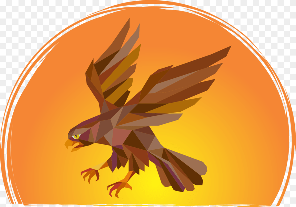 School Background, Animal, Bird, Kite Bird, Hawk Free Png