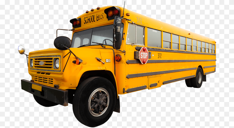 School Bus, School Bus, Transportation, Vehicle, Machine Png