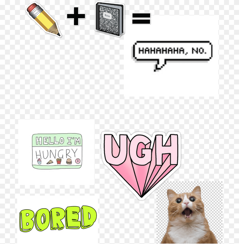 School Diy, Animal, Cat, Mammal, Pet Free Png