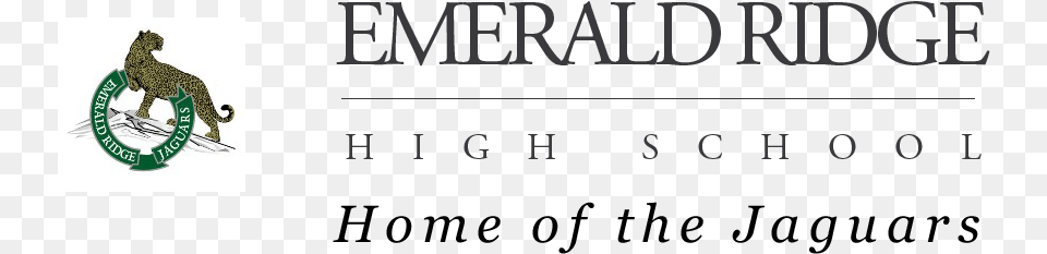 School Logo Emerald Ridge High School Logo, Animal, Cheetah, Mammal, Wildlife Png
