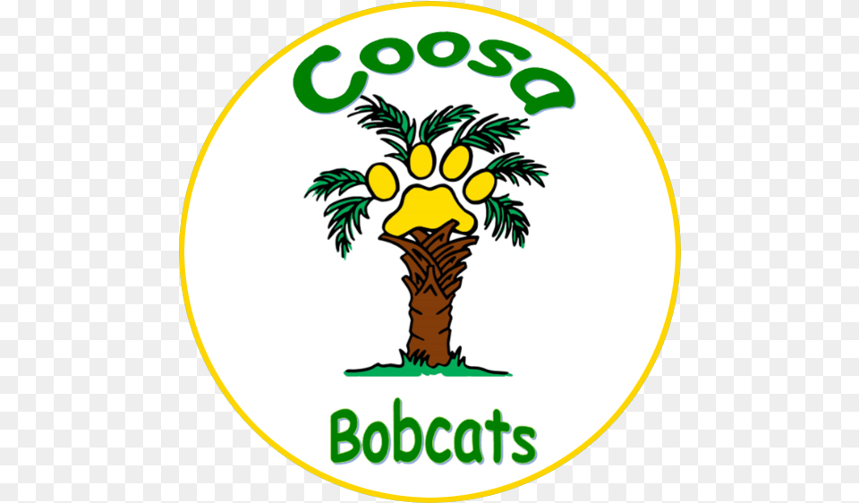 School Logo Illustration, Palm Tree, Plant, Tree, Food Png