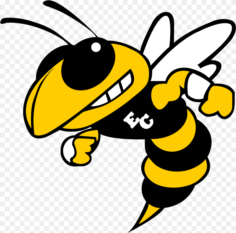 School Logo Woodford County High School Mascot, Animal, Invertebrate, Insect, Honey Bee Free Transparent Png