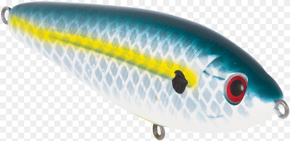 School Master Team Livingston Series School Master Bluetreuse Shad, Fishing Lure Free Png