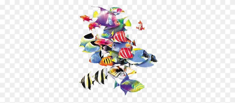 School Of Fish, Angelfish, Animal, Sea Life, Bird Png