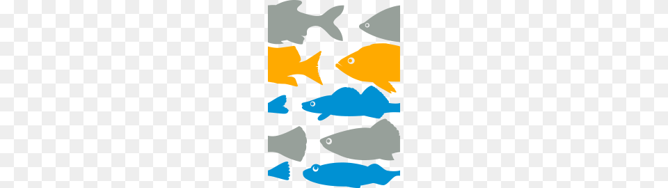 School Of Fish, Animal, Sea Life, Shark Png