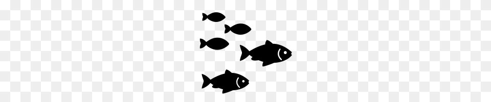 School Of Fish Icons Noun Project, Gray Free Png