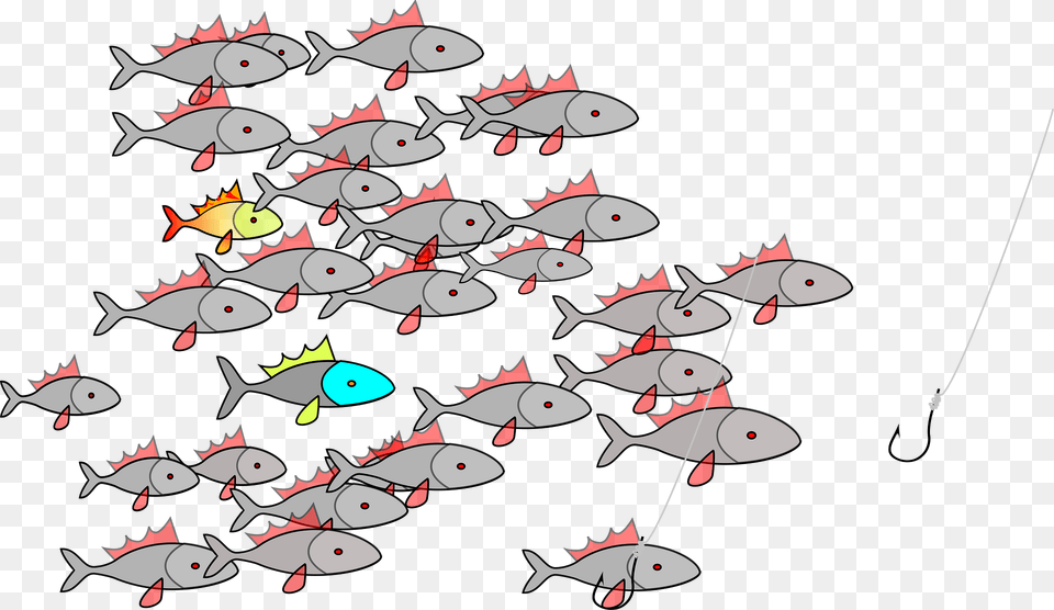 School Of Fish Swimming Toward A Hook Clipart, Animal, Sea Life, Electronics, Hardware Free Png Download