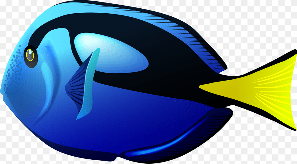 School Of Tang Clipart Picture Royalty Stock Blue Pacific Blue Tang Fish Svg, Animal, Sea Life, Surgeonfish Free Png