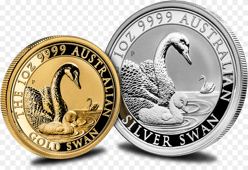 Schwan 2019 Silber, Animal, Bird, Coin, Money Png Image