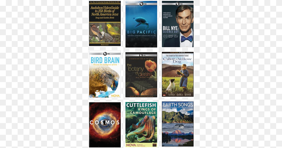 Science And Nature Films From Videoport And Ppl Earth Songs Dvd, Publication, Book, Novel, Turtle Free Transparent Png
